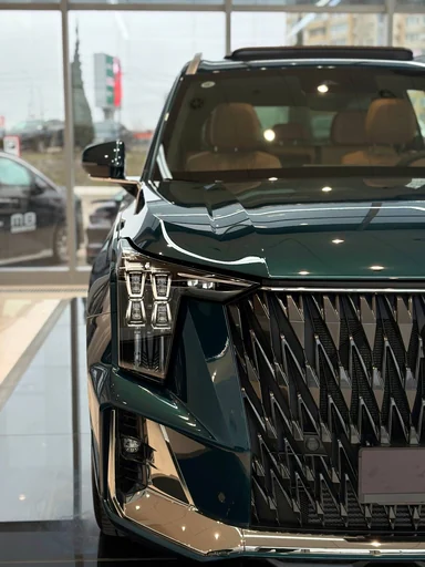 Купить Gac GS8, II Зеленый 2.0 AT (231 л.с.) 4WD от 4199000 ₽. в Балаково