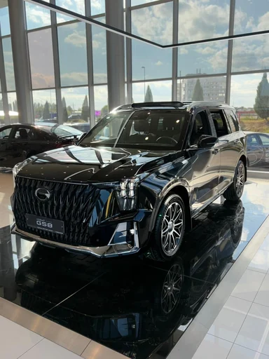 Купить Gac GS8, II Черный 2.0 AT (231 л.с.) 4WD от 4199000 ₽. в Балаково