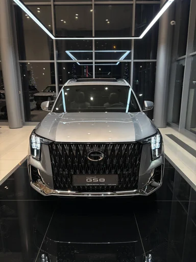 Купить Gac GS8, II Серебристый 2.0 AT (231 л.с.) 4WD от 4309000 ₽. в Балаково