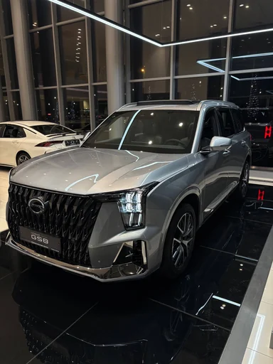 Купить Gac GS8, II Серебристый 2.0 AT (231 л.с.) 4WD от 4309000 ₽. в Балаково