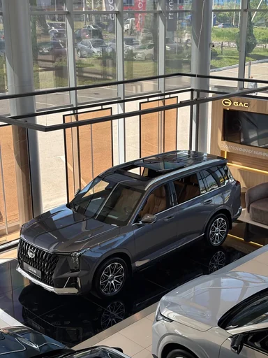 Купить Gac GS8, II Серый 2.0 AT (231 л.с.) 4WD от 4599000 ₽. в Балаково
