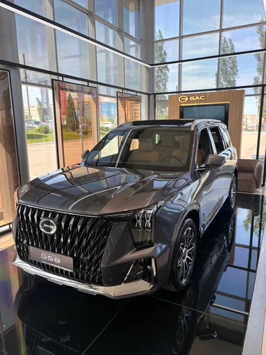 Купить Gac GS8, II Серый 2.0 AT (231 л.с.) 4WD от 4599000 ₽. в Балаково
