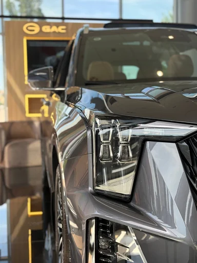 Купить Gac GS8, II Серый 2.0 AT (231 л.с.) 4WD от 4599000 ₽. в Балаково