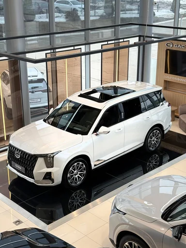 Купить Gac GS8, II Белый 2.0 AT (231 л.с.) 4WD от 4199000 ₽. в Балаково