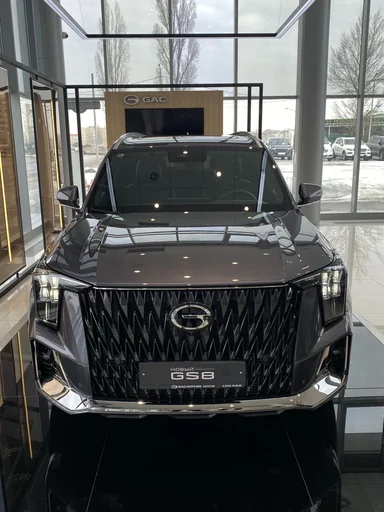 Купить Gac GS8, II Серый 2.0 AT (231 л.с.) 4WD от 4009000 ₽. в Балаково