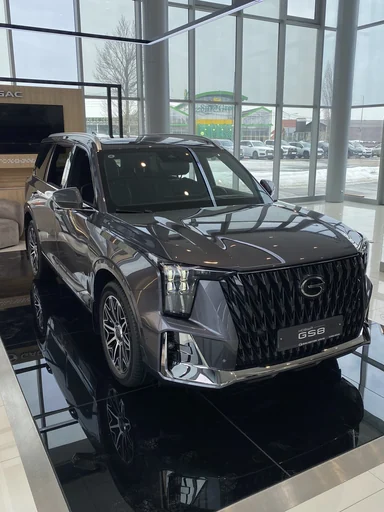 Купить Gac GS8, II Серый 2.0 AT (231 л.с.) 4WD от 4009000 ₽. в Балаково