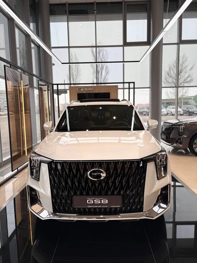 Купить Gac GS8, II Белый 2.0 AT (231 л.с.) 4WD от 4199000 ₽. в Балаково