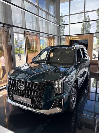 Купить Gac GS8, II Зеленый 2.0 AT (231 л.с.) 4WD от 4599000 ₽. в Балаково