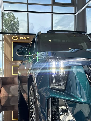 Купить Gac GS8, II Зеленый 2.0 AT (231 л.с.) 4WD от 4599000 ₽. в Балаково