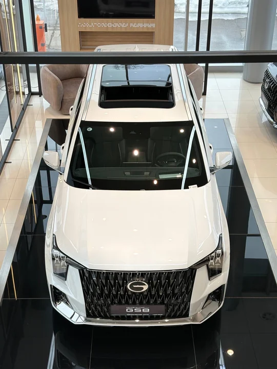GS8, II