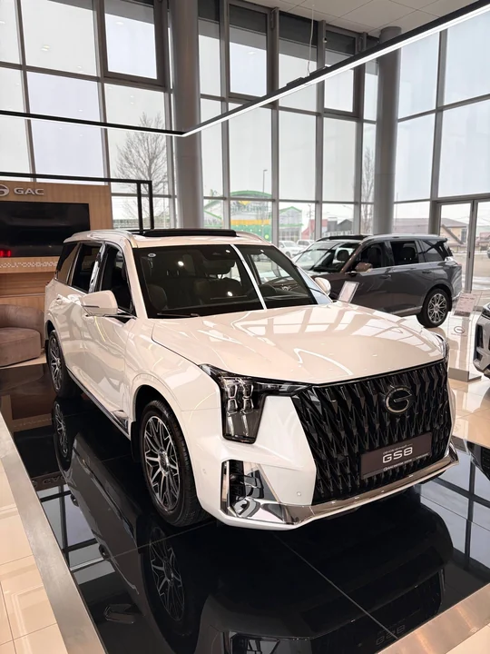 GS8, II