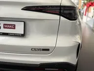 CS35 Max