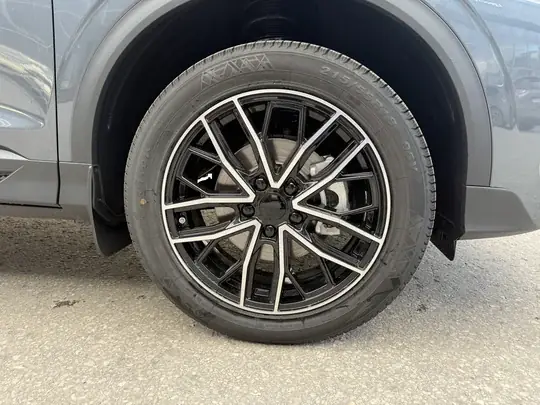 X50+