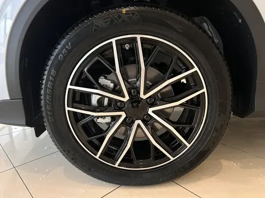 X50+