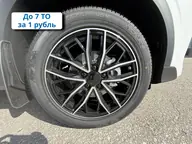 X50+