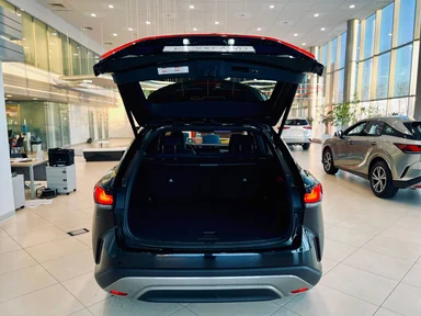 Купить Lexus RX Чёрный RX 300 2.0 4WD AT (247 л.с.) от 8100000 ₽. в Пензе