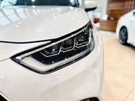 Highlander