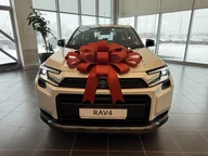 RAV4, VI (XA60)