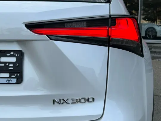 NX