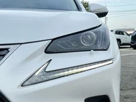 NX