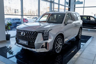 Купить Gac GS8, II Серебряный 2.0 AT (231 л.с.) 4WD от 4449000 ₽. в Ульяновске