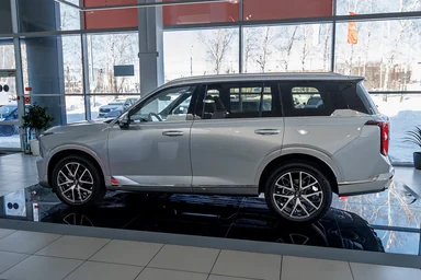 Купить Gac GS8, II Серый 2.0 AT (231 л.с.) 4WD от 4449000 ₽. в Ульяновске
