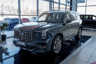 Купить Gac GS8, II Зеленый 2.0 AT (231 л.с.) 4WD от 4449000 ₽. в Ульяновске