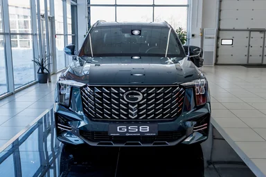 Купить Gac GS8, II Зеленый 2.0 AT (231 л.с.) 4WD от 4449000 ₽. в Ульяновске