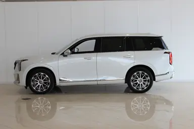 Купить Gac GS8, II Белый Dragon 2.0 AT (231 л.с.) 4WD от 4065000 ₽. в Самаре