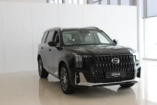 GS8, II