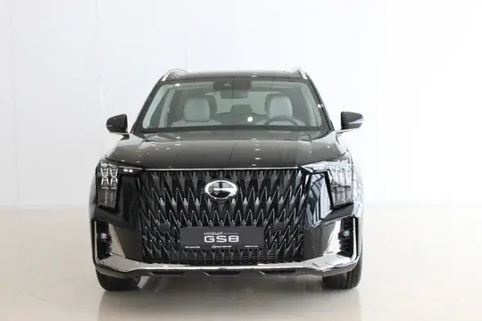 GS8, II