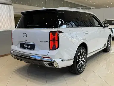 Купить Gac GS8, II Белый Dragon 2.0 AT (231 л.с.) 4WD от 4174000 ₽. в Самаре