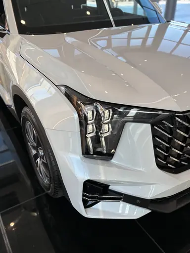 Купить Gac GS8, II Белый 2.0 AT (231 л.с.) 4WD от 4194100 ₽. в Саратове