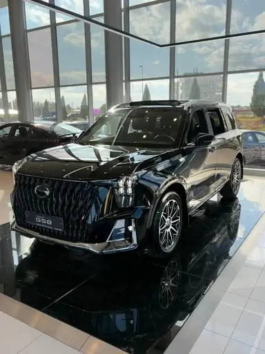 Купить Gac GS8, II Черный 2.0 AT (231 л.с.) 4WD от 4299000 ₽. в Саратове