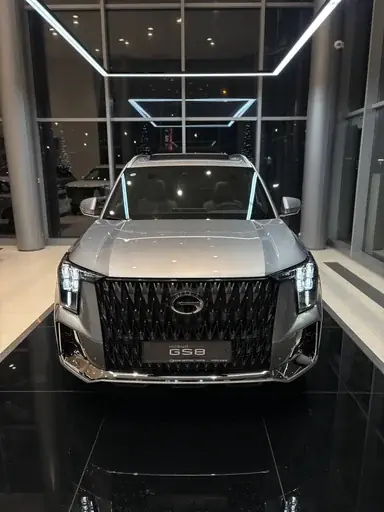 Купить Gac GS8, II Серебряный 2.0 AT (231 л.с.) 4WD от 4599000 ₽. в Саратове
