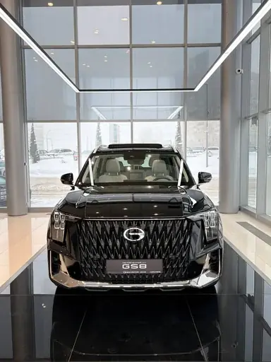 Купить Gac GS8, II Черный 2.0 AT (231 л.с.) 4WD от 4599000 ₽. в Саратове