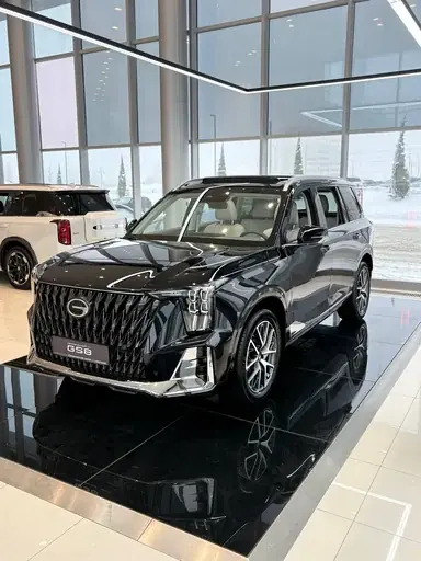 Купить Gac GS8, II Черный 2.0 AT (231 л.с.) 4WD от 4599000 ₽. в Саратове