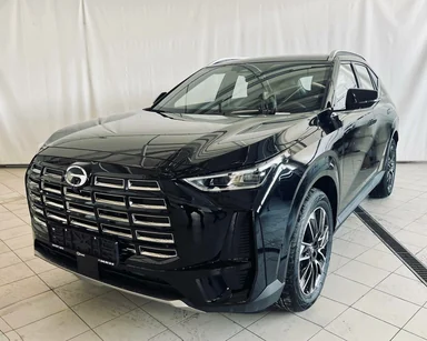 Купить Gac GS4, I Черный 2.0 AT (231 л.с.) 4WD от 3449000 ₽. в Самаре