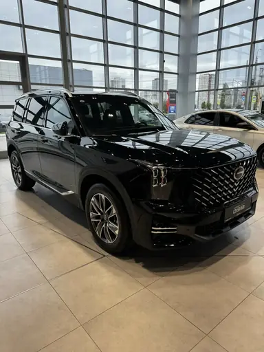 Купить Gac GS8, II Черный 2.0 AT (231 л.с.) 4WD от 3799000 ₽. в Самаре