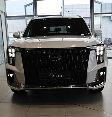 Купить Gac GS8, II Белый Dragon 2.0 AT (231 л.с.) 4WD от 4352130 ₽. в Самаре