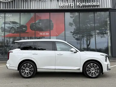 Купить Gac GS8, II Белый Dragon 2.0 AT (231 л.с.) 4WD от 4749000 ₽. в Ставрополе