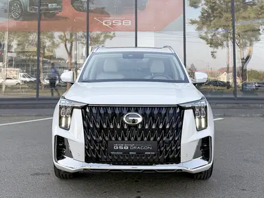 Купить Gac GS8, II Белый Dragon 2.0 AT (231 л.с.) 4WD от 4349000 ₽. в Ставрополе