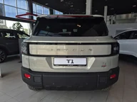 T1