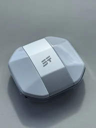 T1