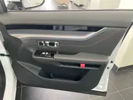Dashing