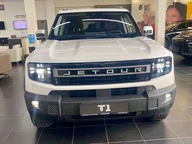 T1