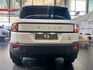 T1