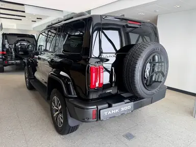 Купить Tank 300 Черный 2.0 4WD AT (220 л.с.) от 4349000 ₽. в Пензе