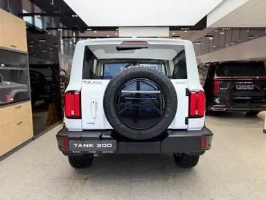 Купить Tank 300 Белый 2.0 4WD AT (218 л.с.) от 4749000 ₽. в Пензе