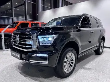 Купить Tank 500 Черный 2.0hyb 4WD AT (299 л.с.) от 6499000 ₽. в Пензе